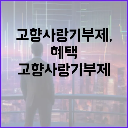 고향사랑기부제, 지역과 기부자 모두에 혜택