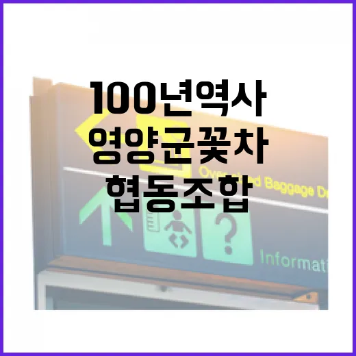 영양군 꽃차 협동조합, 100년 역사 품은 명소