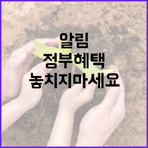 놓치지 마세요, 정부 혜택 알림 서비스