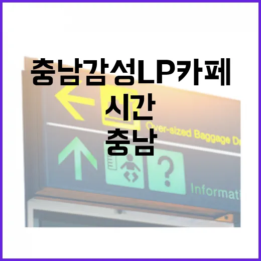 충남 감성 LP카페에서 나만의 시간