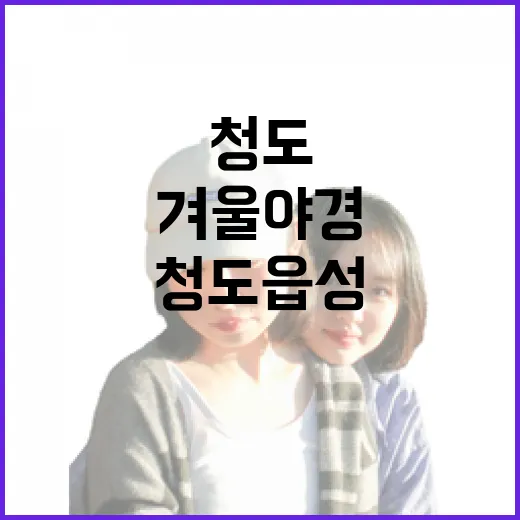 청도 읍성 겨울 야경의 매력