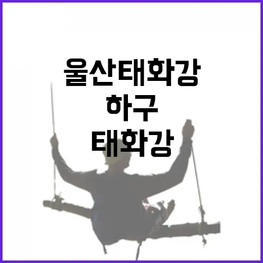 울산 태화강 하구의 만추 풍경