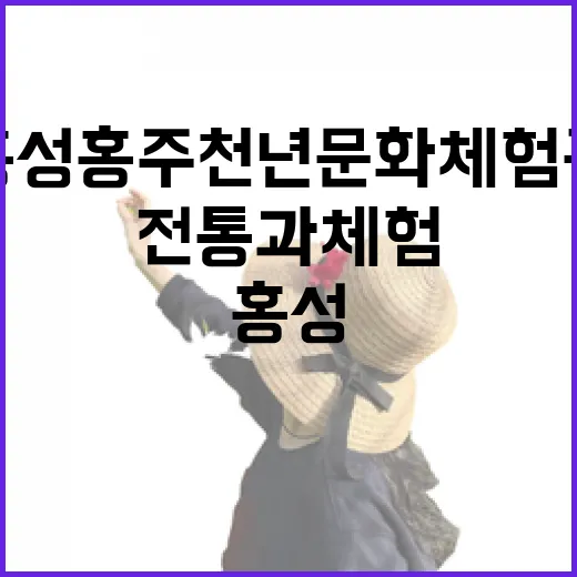 홍성 홍주천년문화체험관, 전통과 체험의 만남