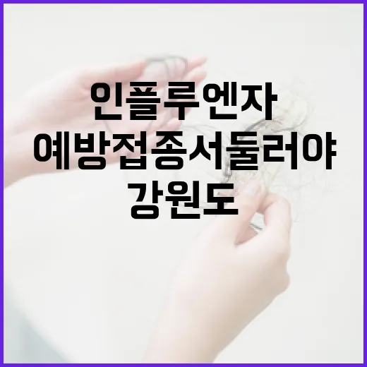 강원도 인플루엔자 확산, 예방접종 서둘러야