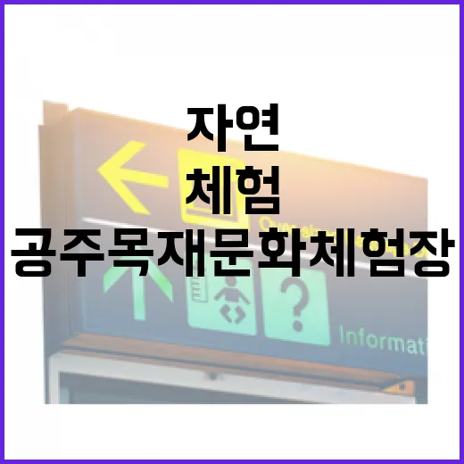 공주 목재문화체험장, 자연과 함께하는 가족 체험