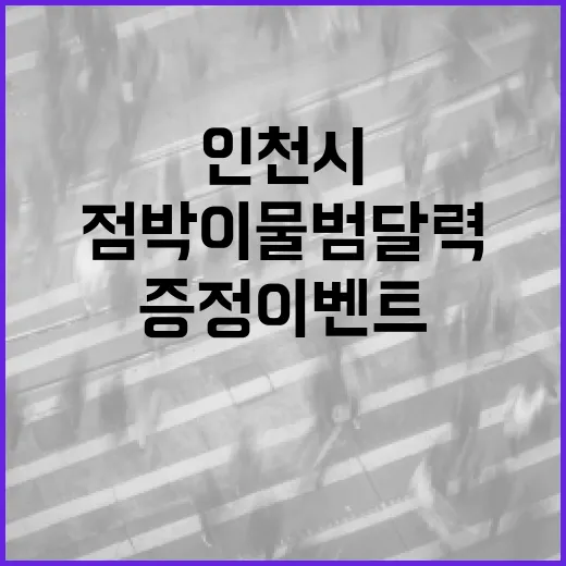 인천시, 2026년 점박이물범 달력 선착순 증정 이벤트