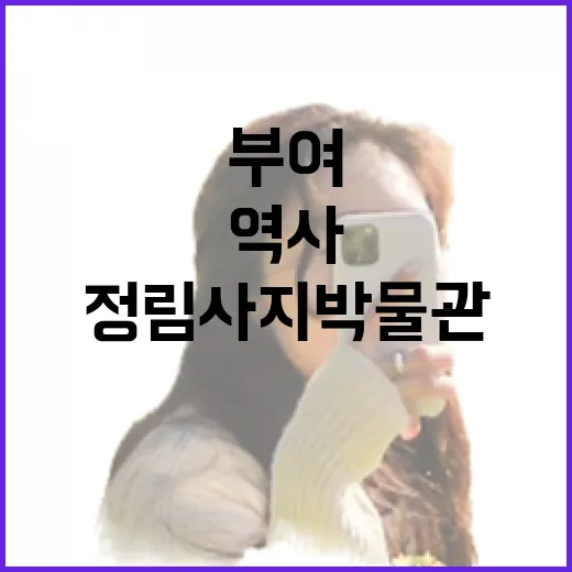 부여 정림사지박물관, 아이와 함께하는 역사 체험 명소