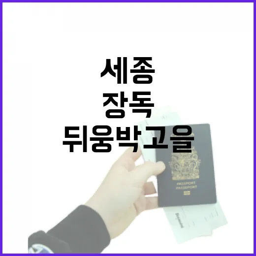 세종 뒤웅박고을, 천여 장독의 전통미