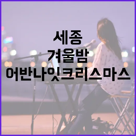 세종 겨울밤, 어반나잇 크리스마스 축제