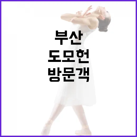 부산 도모헌, 40만 방문객 돌파 기념 연말 가족사랑 이벤트