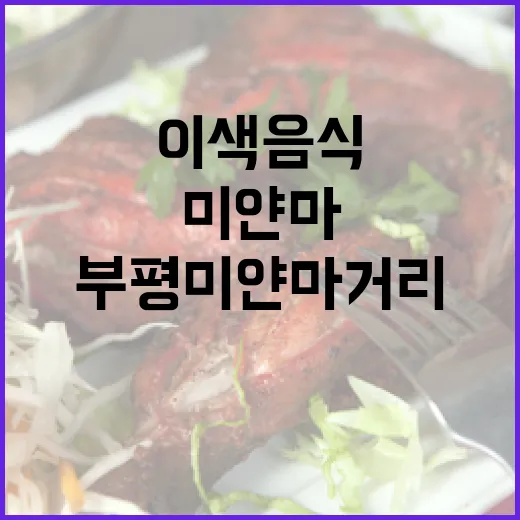 부평 미얀마 거리, 이색 음식의 향연