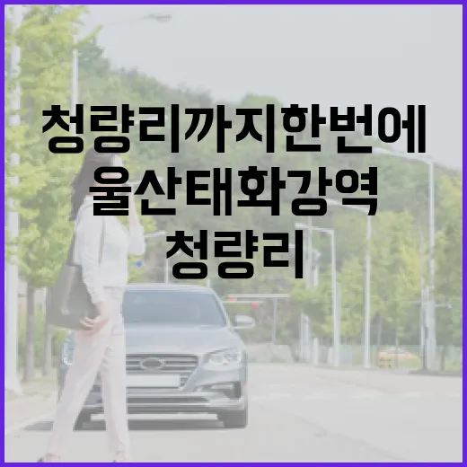울산 태화강역, 청량리까지 한 번에 연결