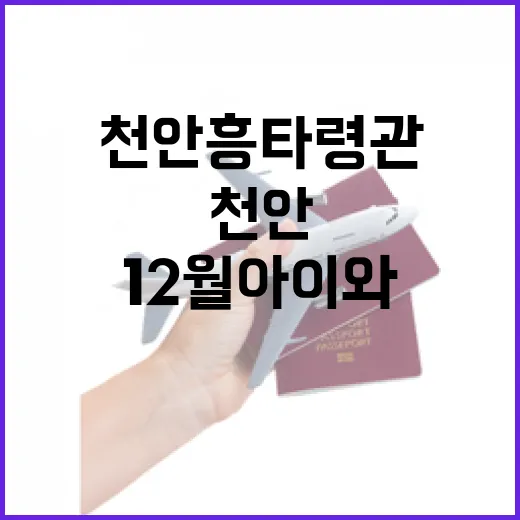 천안 흥타령관, 12월 아이와 가볼만한 실내 명소