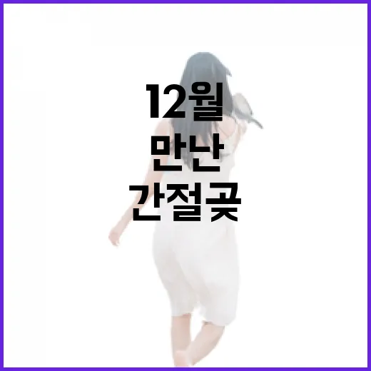 12월 간절곶에서 만난 특별한 해맞이