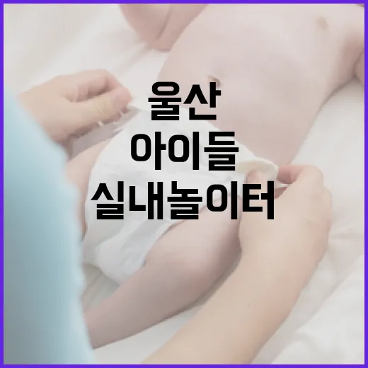 울산 큰나무놀이터, 겨울철 아이들 실내 놀이터 명소