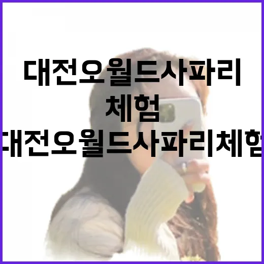 대전 오월드 사파리 체험의 모든 것