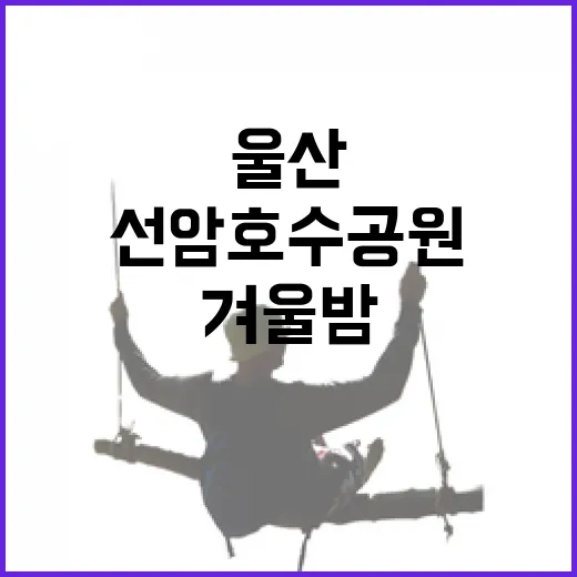 울산 선암호수공원 겨울밤 빛 축제