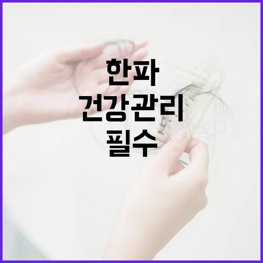 초겨울 한파 경보, 고령층 건강관리 필수