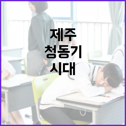제주 삼양동 유적, 청동기 시대 생생 체험