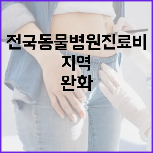 전국 동물병원 진료비 상승과 지역 편차 완화