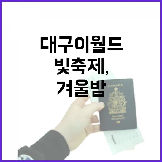 대구 이월드 빛 축제, 겨울밤의 매력