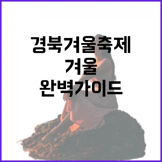 경북 겨울 축제 완벽 가이드