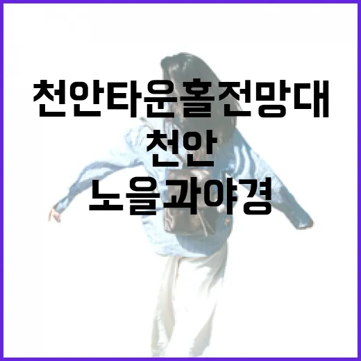 천안 타운홀 전망대…