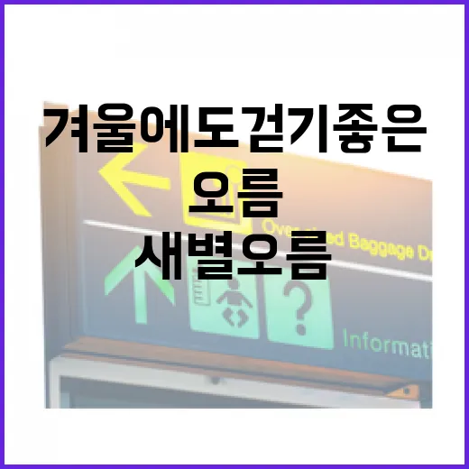 겨울에도 걷기 좋은 새별오름 산책길