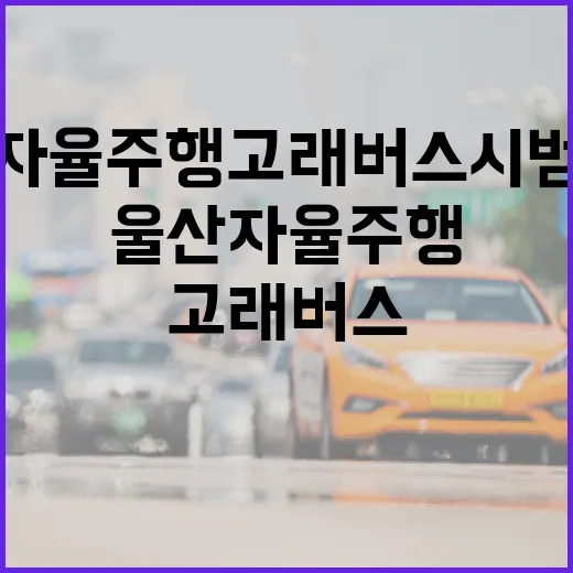 울산 자율주행 고래버스 시범운행 시작