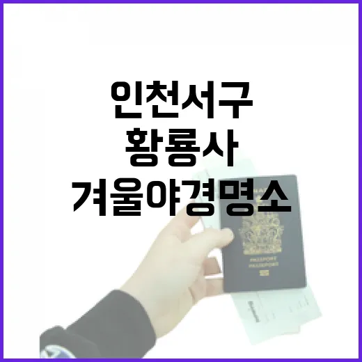 인천 서구 황룡사 겨울 야경 명소