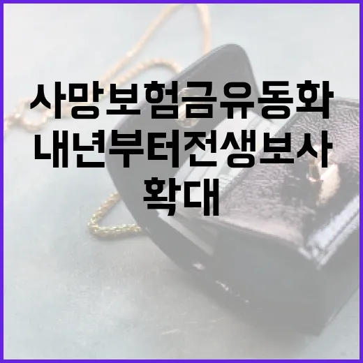 사망보험금 유동화, 내년부터 전 생보사 확대