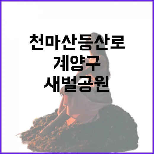 계양구 새벌공원, 천마산 등산로 새단장