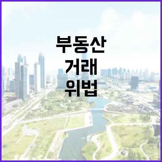 부동산 위법거래 1000건 넘게 적발