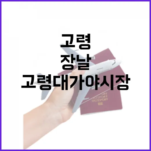 고령 대가야시장 장날 풍경