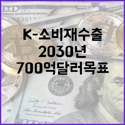 2030년 K-소비재 수출 700억 달러 목표