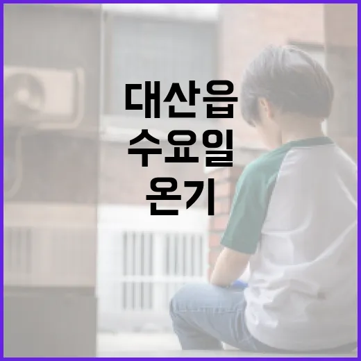 대산읍 수요일, 봉사의 온기 퍼지다