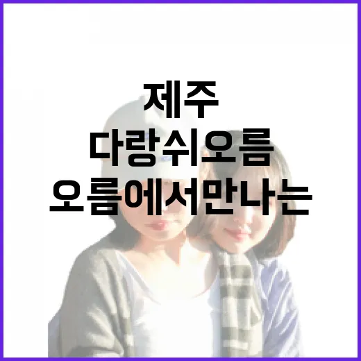 다랑쉬오름에서 만나는 제주의 시간과 기억