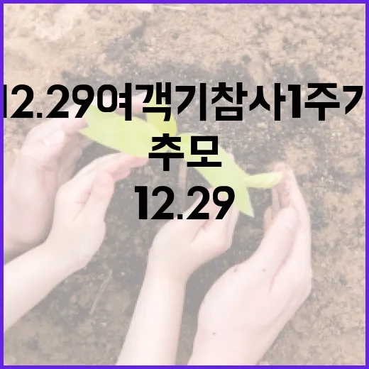 12.29 여객기 참사 1주기, 국민과 함께하는 추모의 시간