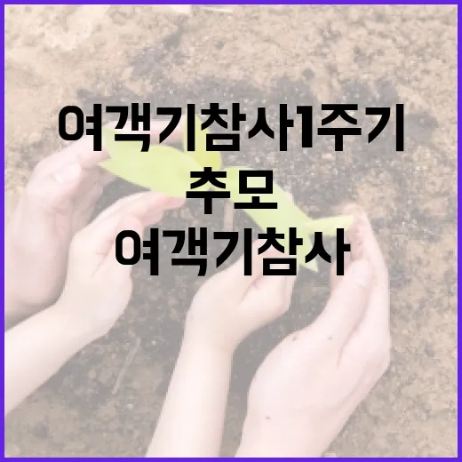 여객기 참사 1주기, 전남도 깊은 추모와 다짐