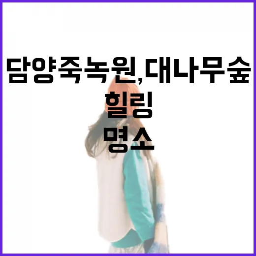 담양 죽녹원, 대나무 숲 속 힐링 명소