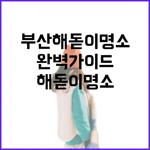 부산 해돋이 명소 5선 완벽 가이드