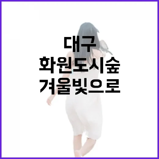 대구 화원 도시숲, 겨울빛으로 물든 산책 명소