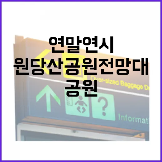연말연시 원당산 공원 전망대 힐링 명소