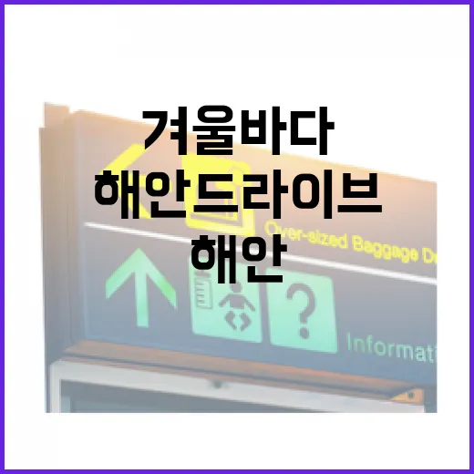 겨울 바다 품은 전남 해안 드라이브 명소