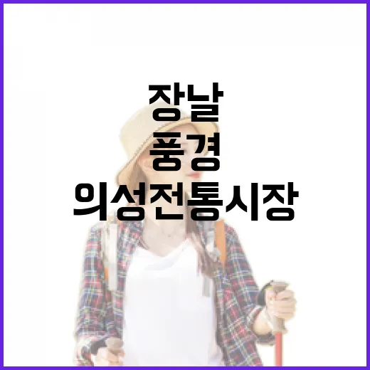 장날 의성전통시장 생생한 풍경