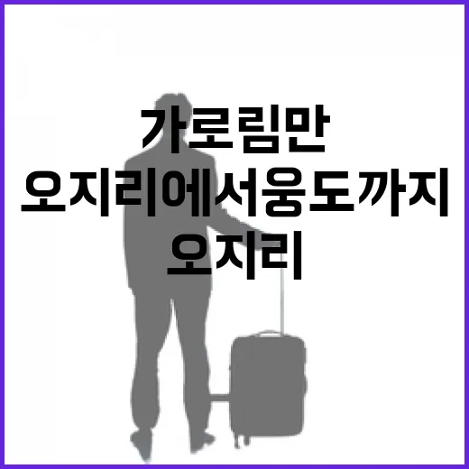 가로림만의 생명력, 오지리에서 웅도까지