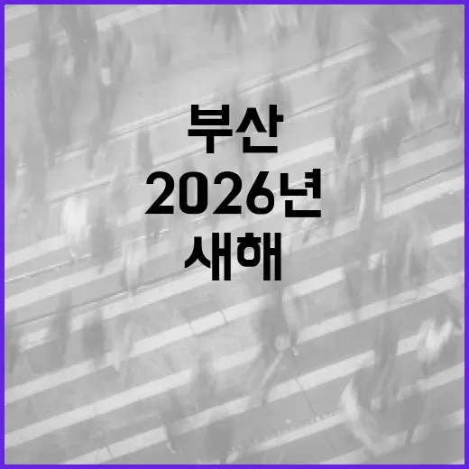 2026년 부산 시민과 함께하는 새해 타종행사