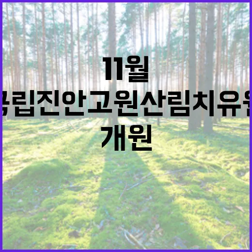 국립진안고원산림치유원 11월 개원