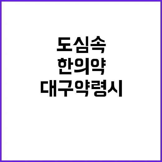 도심 속 한의약 역…