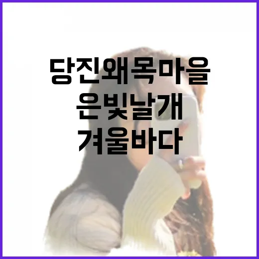 당진 왜목마을, 겨울 바다와 은빛 날개의 만남